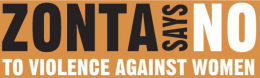 ZsN Logo